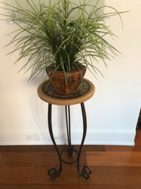 Table ronde 33 cm pour plante