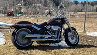 Harley-Davidson (FatBoy 114)