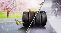 AL’s mobile professional seasonal tire swap at affordable price!