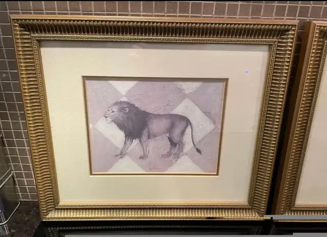 2 exotic frames - Lebourgneuf64396544390787122