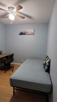 Fully furnished bedroom for rent for female in St Vital 