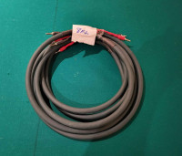 Cardas Parsec Speaker Wire (8ft Pair)