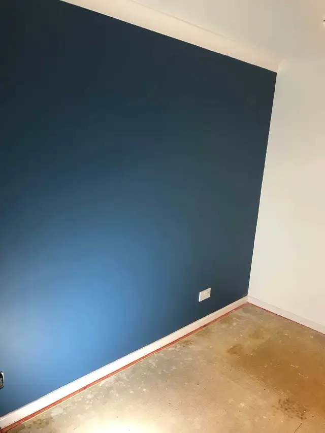 PROFESSIONAL PLASTERER 593256049374013445