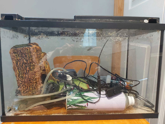 10 gallon aquarium with lots of accessories in Fish for Rehoming in Cole Harbour