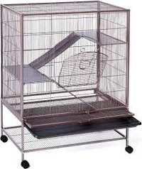 Rat cage or Large bird cage