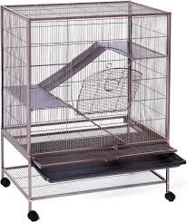 Rat cage or Large bird cage in Accessories in Sarnia
