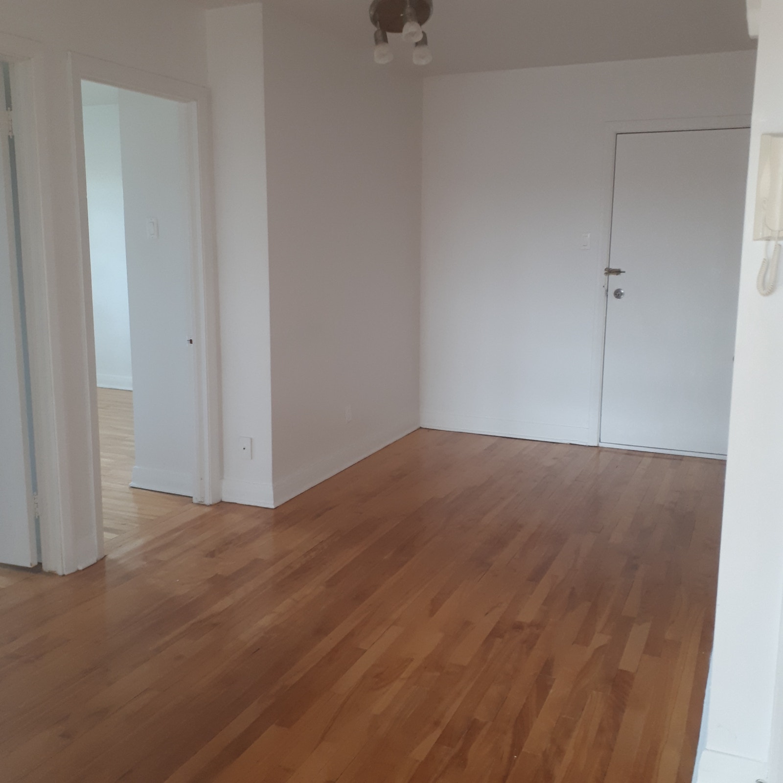 3505 Rue Bélanger — photo 1