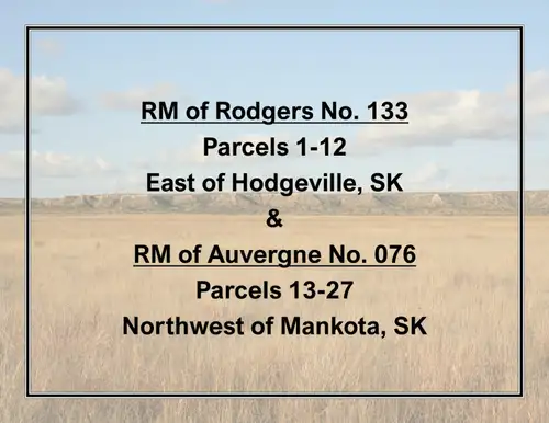 Land for Sale by Tender - RM of Rodgers No. 133 (east of Hodgeville, SK) & RM of Auvergne No. 076 (n...