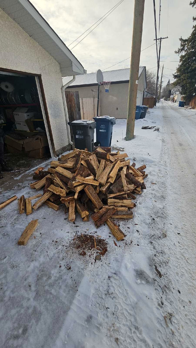 Firewood for sale/ Tamarack  in Fireplace & Firewood in Winnipeg - Image 2
