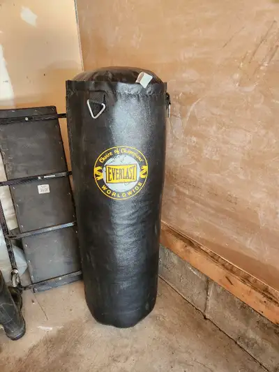 Never Used hanging Punching Bag - Everlast brand -, View more