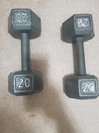 Dumbells 20lbs pair