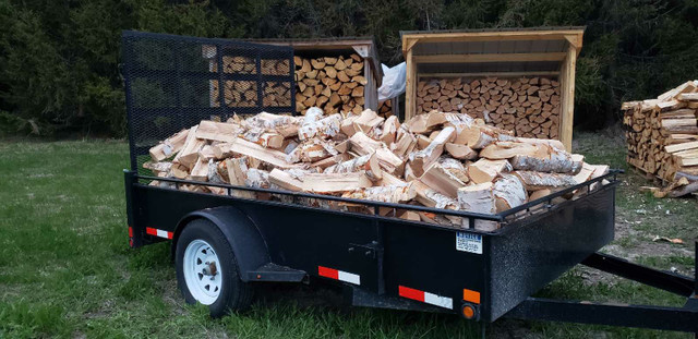 Firewood for sale!   Englehart/Charlton area in Other in Sudbury - Image 3