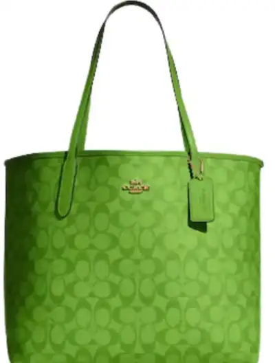 New Coach bag & Charles and Keith purse, View more