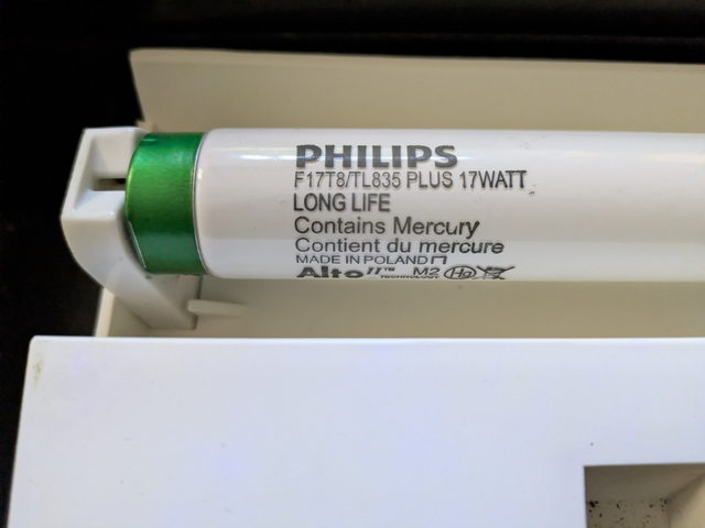 28-in fish tank fluorescent lights in Fish for Rehoming in Winnipeg - Image 4