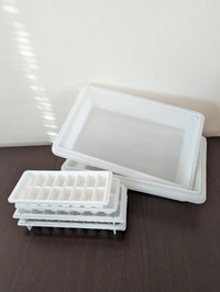 Ice cube trays and 2 Max boxes