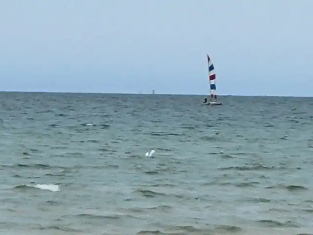 hobie cat 16 w trailer in Sailboats in Owen Sound - Image 5