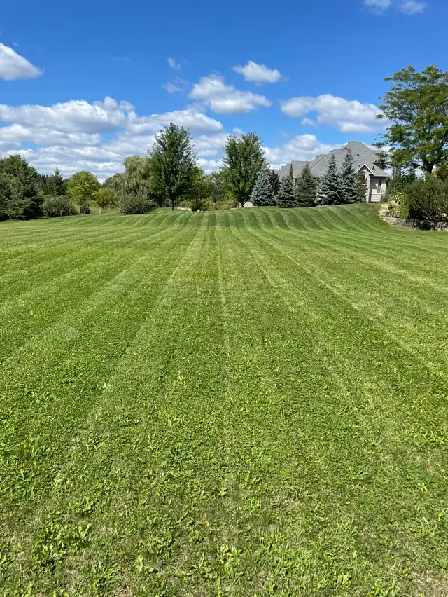 Patio | Pathway | interlocking | spring clean up65745644950147122