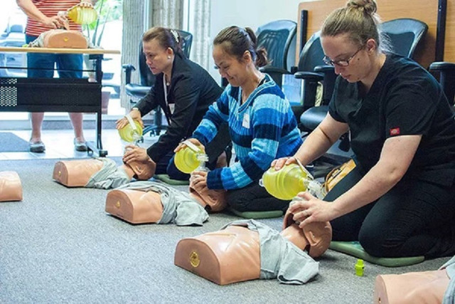 HEART AND STROKE BLS PROVIDER CPR CERTIFICATION in Classes & Lessons in Calgary
