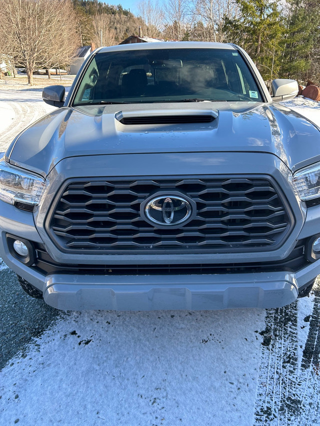 2020 Toyota Tacoma TRD SPORT| DBL CAB in Cars & Trucks in New Glasgow - Image 2