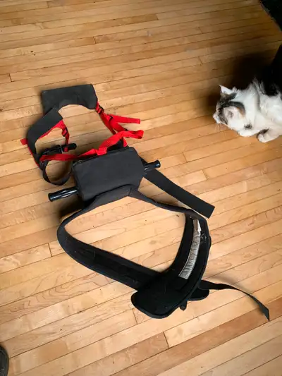 It you ride on the street with your child or even on a quad this harness is excellent to keep them a...