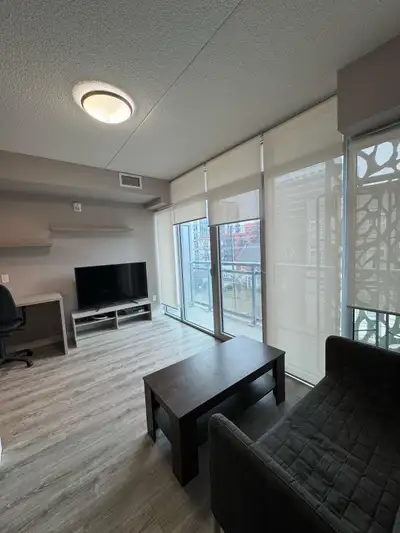 FURNISHED ONE BEDROOM CONDO APARTMENT FOR RENT FROM AUG01/25.
