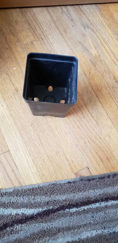 These 4" black square plastic starter plant pots are perfect for your gardening projects and propaga...