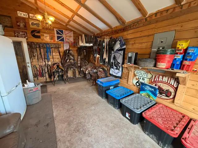 Horse Board  in Horses & Ponies for Rehoming in Moncton - Image 11