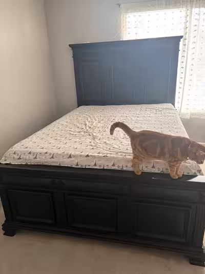 Hello, This queen bed comes with headboard, legboard and wooden frame at the bottom. I will be buyin...
