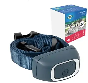 PetSafe Add-A-Dog Receiver Collar for Timid Dogs, 8 lb in Accessories in Mississauga / Peel Region - Image 2