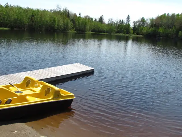 Black Bear Lodge Noonan in New Brunswick in Canada - Image 10
