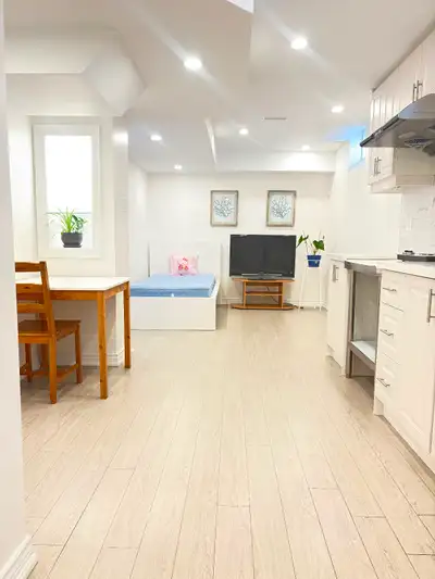 Downtown Markham newly renovated basement apartment for rent, very clean and bright with 9 ft high c...