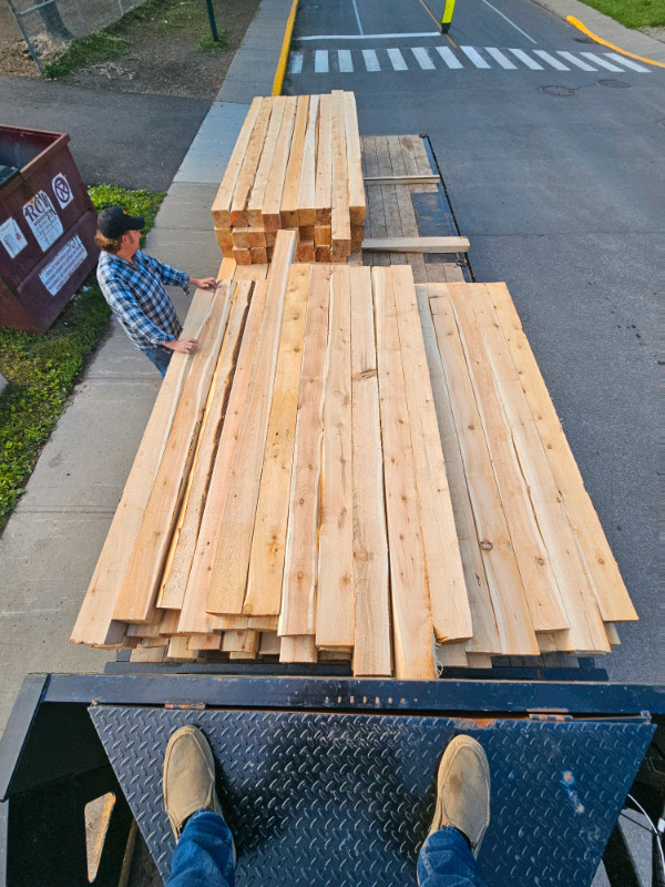 Eastern white cedar beams/timbers dans Autre  à Région des lacs Kawartha - Image 2