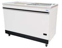 50 inch CELCOLD ice cream bunkers