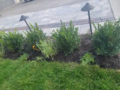 Landscaping lights installation. 905-771-5339, View more