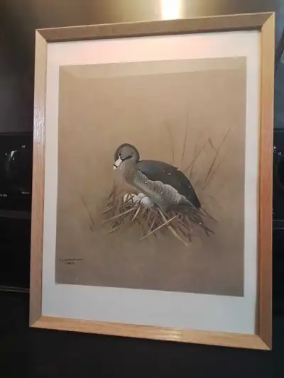 F.Lansdowne Artwork 12.75x16.75", 1957, View more