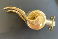 Polished Brass Dorex Door Handle