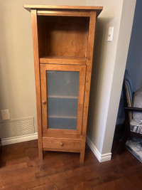 Alcohol (Booze) Cabinet or Book Storage