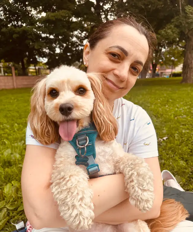 Dog & Cat Sitter – Boarding Available in Animal & Pet Services in Ottawa - Image 3