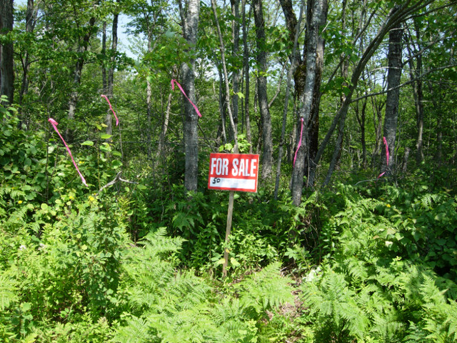 GROUND FOR SALE in Land for Sale in Fredericton - Image 2