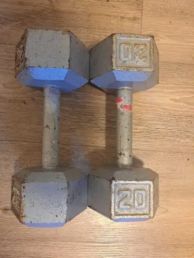 exercise weights 2-20 pound , View more