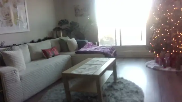 Bedroom for rent \ Chambre à louer _Ottawa