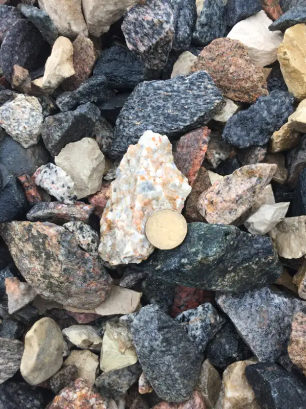 PREMIUM SCREENED TOPSOIL $25/yrd in Plants, Fertilizer & Soil in Saskatoon - Image 10