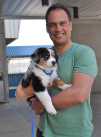 Hamilton Dog & Puppy Trainer