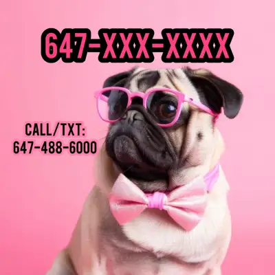 Most Popular Same Digit Vanity Vip Phone Numbers, View more