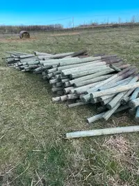 USED FENCE POSTS FOR SALE