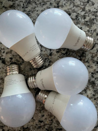 LED bulbs (800 lumen) warm light- total 14 bulbs available