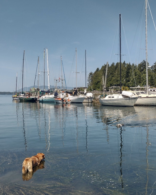 1979 28FT sailboat with slip in Tofino Other Port Alberni Kijiji