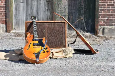 Guitar Speaker Cabinet Boutique Hand Made Unloaded, View more