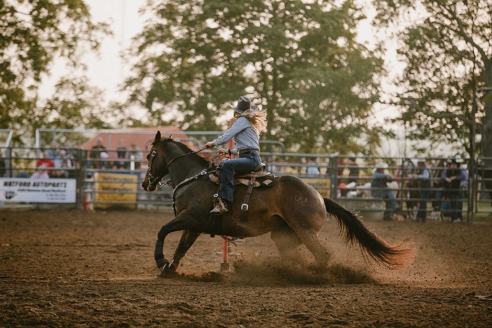 Western Horse Back Riding Lessons | Horses & Ponies for Rehoming ...