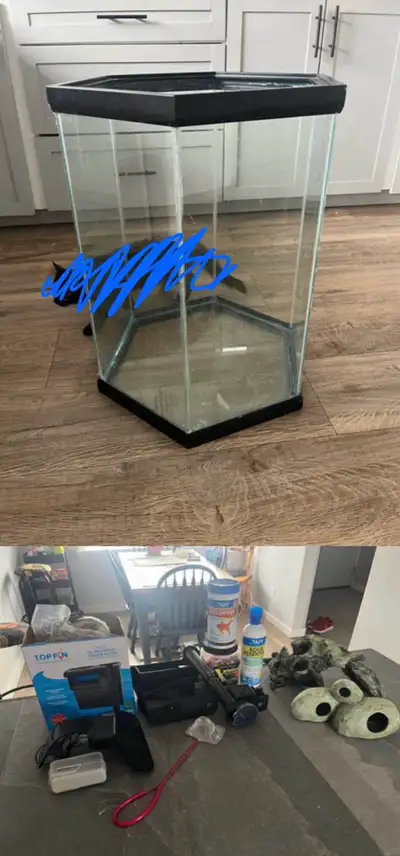 Aquarium+Supplies, View more